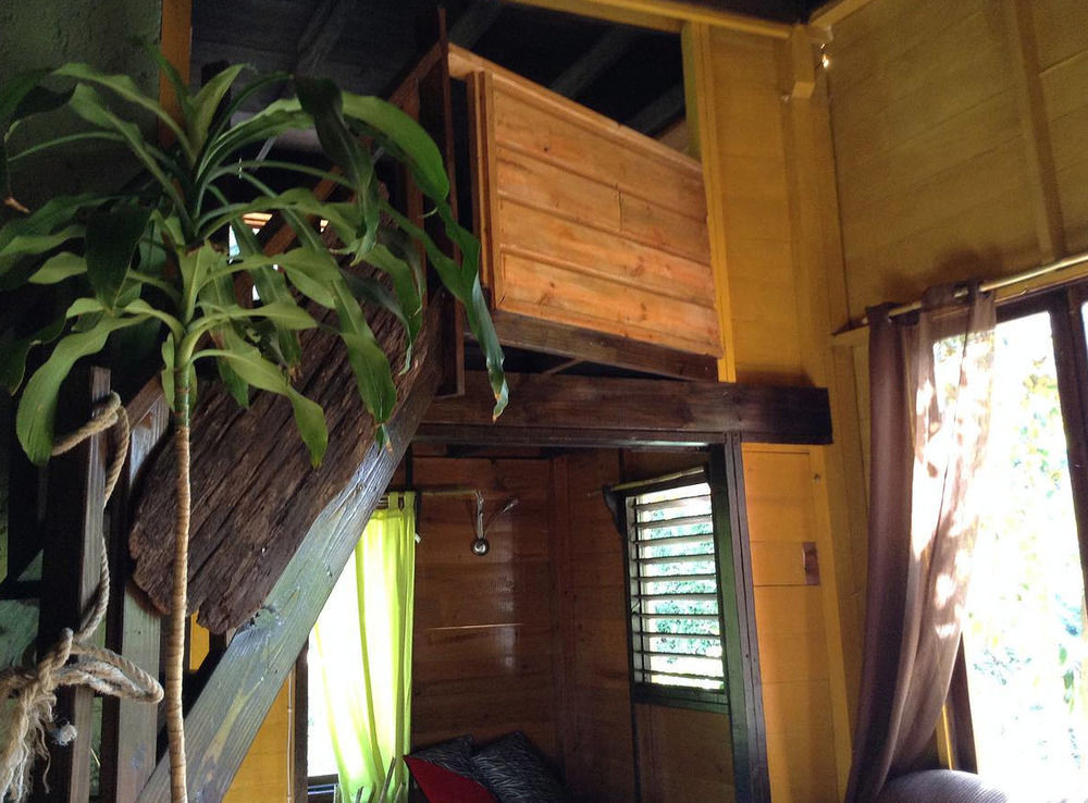 Rafjam Bed & Breakfast Newcastle 外观 照片