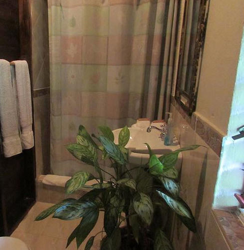 Rafjam Bed & Breakfast Newcastle 外观 照片